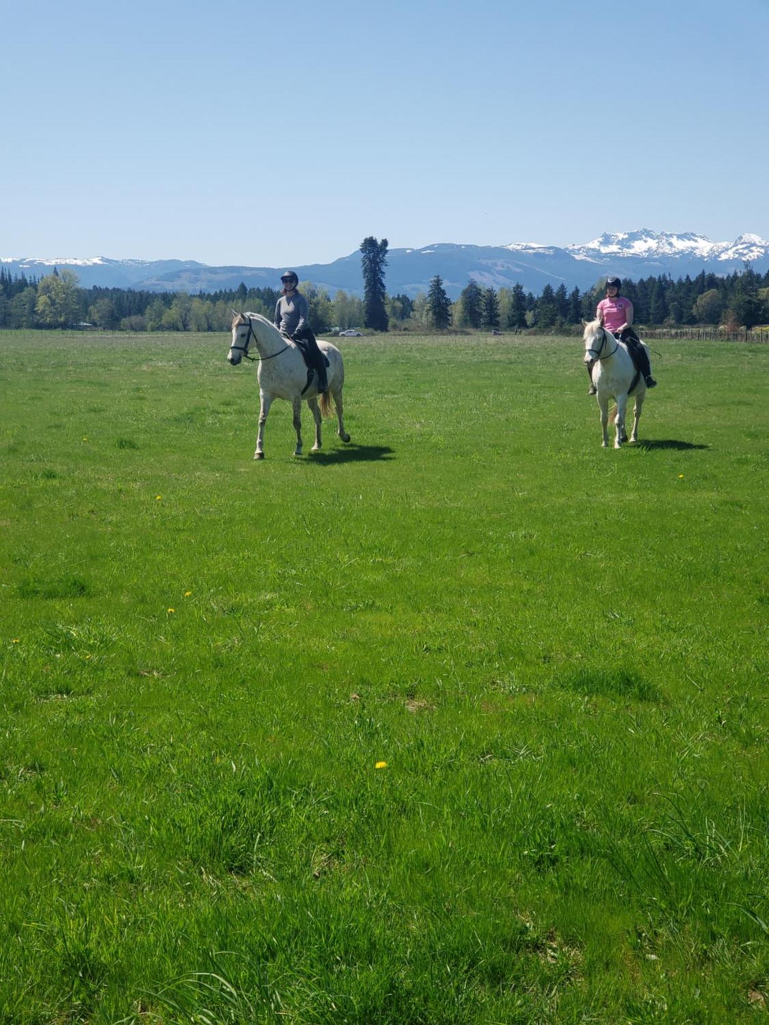 Paradise Acres Ranch Nanoose Bay Екстер'єр фото