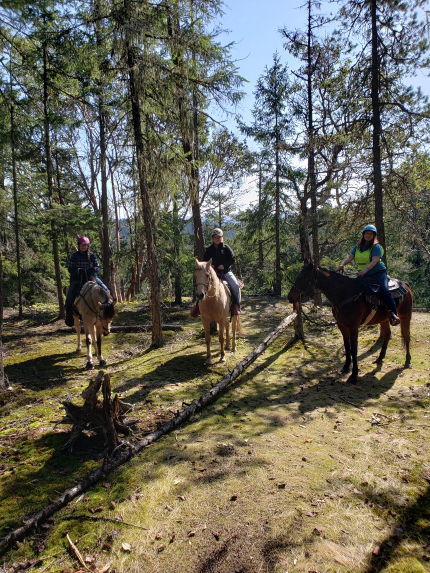 Paradise Acres Ranch Nanoose Bay Екстер'єр фото