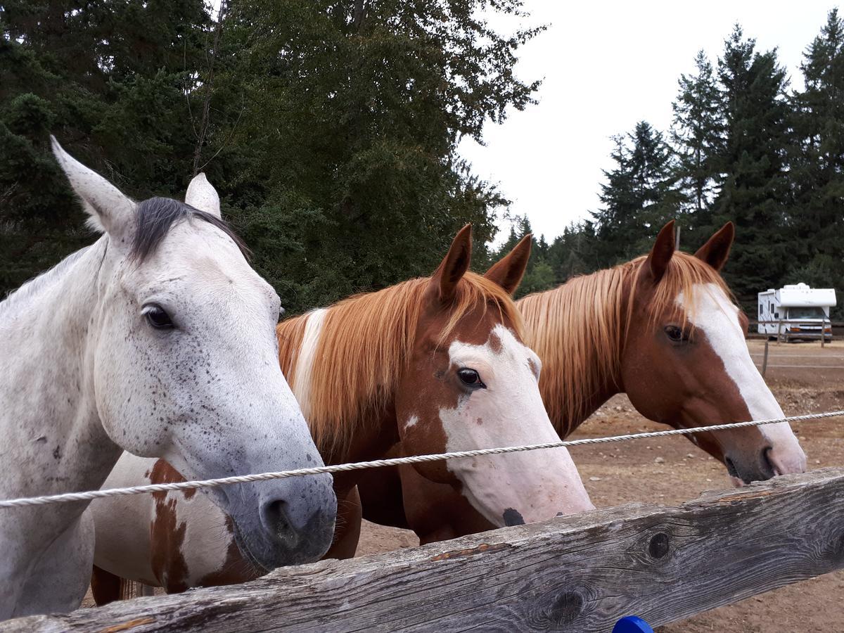Paradise Acres Ranch Nanoose Bay Екстер'єр фото