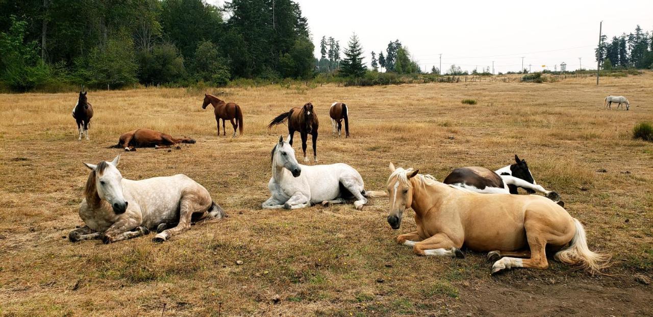 Paradise Acres Ranch Nanoose Bay Екстер'єр фото