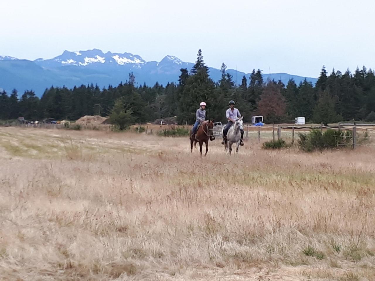 Paradise Acres Ranch Nanoose Bay Екстер'єр фото