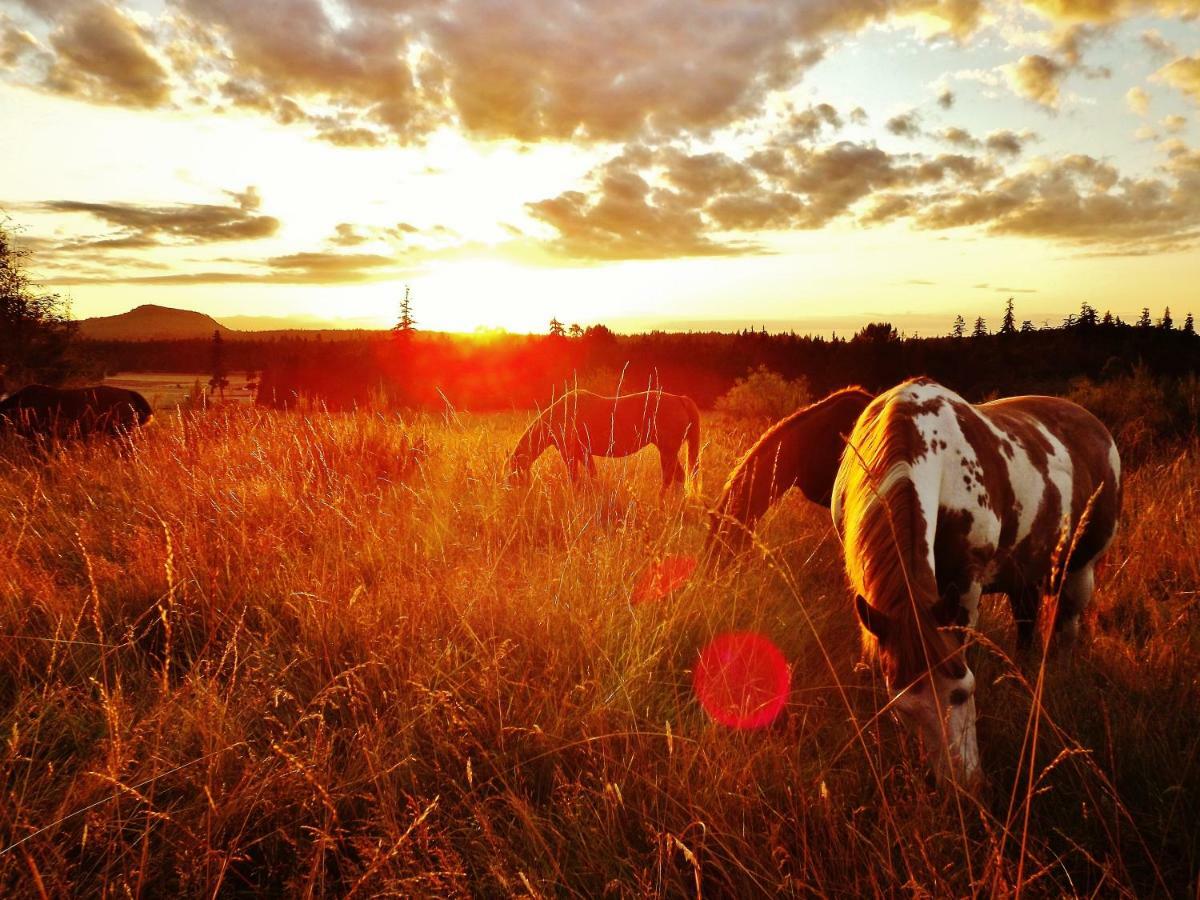 Paradise Acres Ranch Nanoose Bay Екстер'єр фото